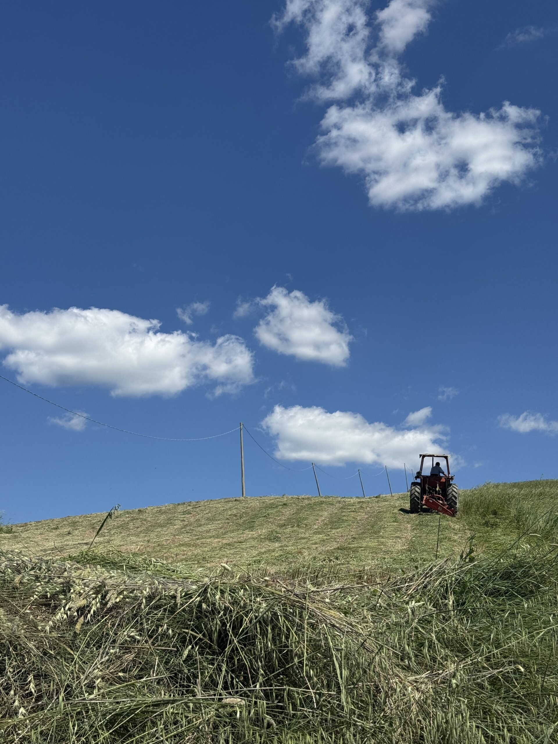 Traktor am Hang